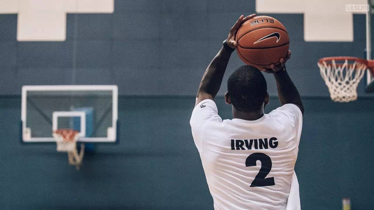 引进众多新 引进众多新