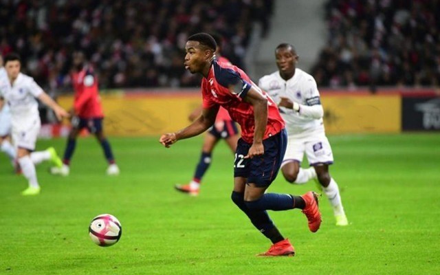 的重要活动 的重要活动