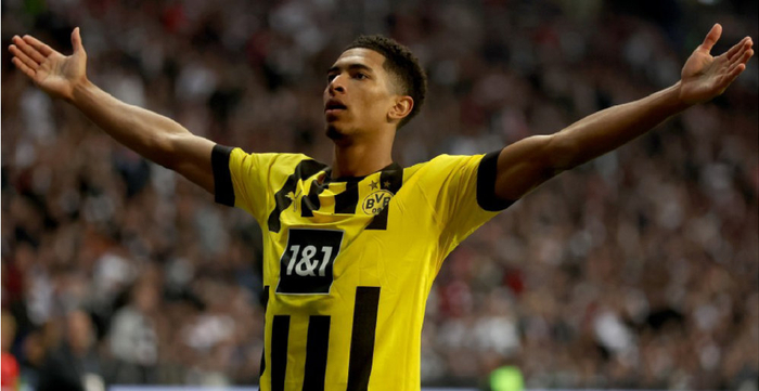 欧神仙对篮 欧神仙对篮